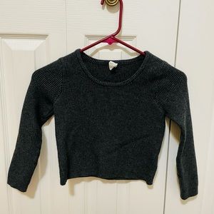 Tokyo Darling Cropped Gray Sweater